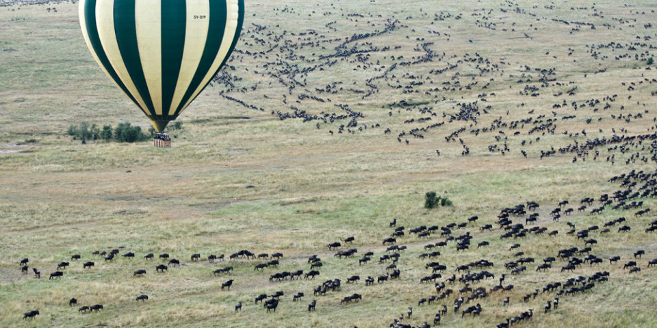 8-Day Luxventure® Tanzania Safari: Mad, Bad & Dangerous