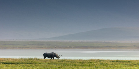 2-Day Zanzibar to Ngorongoro & Tarangire Luxury Safari