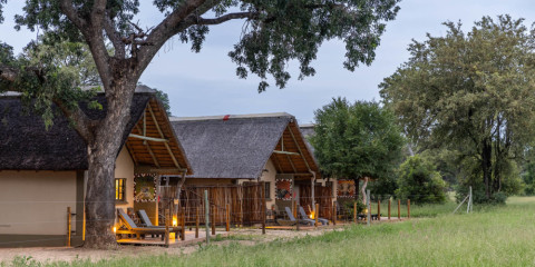 2-Day Umkumbe Safari Lodge - 1 Night