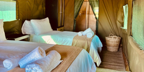 4-Day Pilanesberg Camping Safari