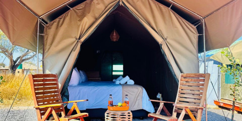 4-Day En-Suite Tlou Tented Safari Camp in Pilanesberg