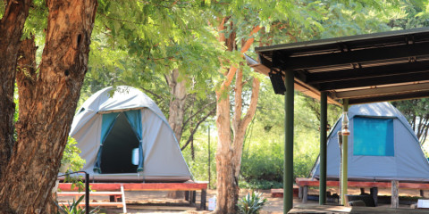 3-Day Tlou Tented Safari Camp in Pilanesberg