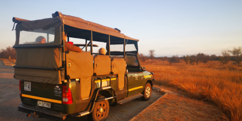 1-Day Ultimate Pilanesberg Open Vehicle Safari