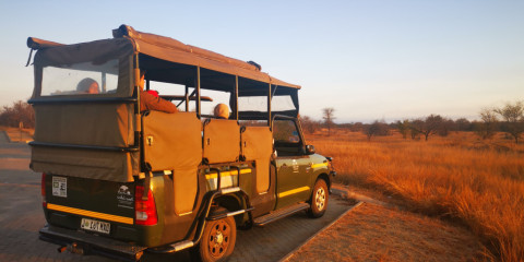 1-Day Pilanesberg Full Day Open Safari with Lunch