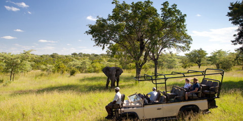 5-Day Ulusaba All-Inclusive Fly-in Package