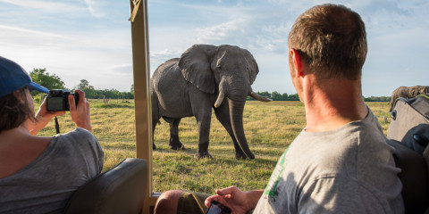 14-Day Botswana Wild Parks Accommodated Safari