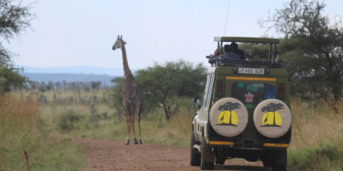 6-Day Relaxed and Best of Tanzania (Luxury) Lodges