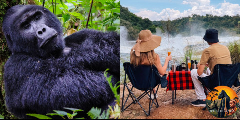 10-Day Luxury Uganda Gorillas, Chimps & Big 5 Safari