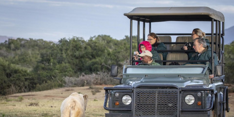 4-Day Eastern Cape - Pumba Game Reserve