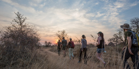 4-Day Greater Kruger Walking Safari