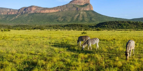 ?-Day Private One-Way Transfer to Waterberg