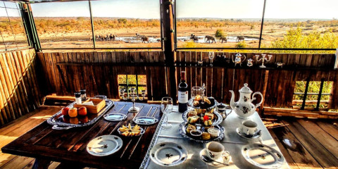 ½-Day Afternoon Tea Celebration in the Bush + Game Drive