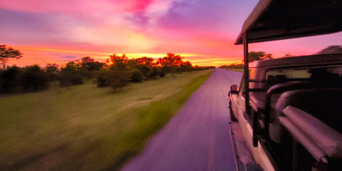 ½-Day Unique 4x4 Sunrise Safari in Zambezi National Park