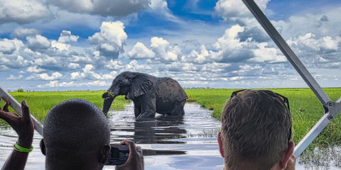 ½-Day Chobe Gentle Giants River Safari from Kasane, 3Hrs