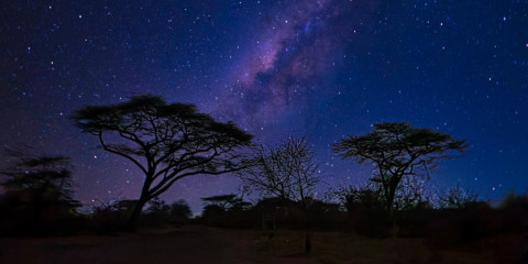 ½-Day Moonlight and Stargazing Safari in the Bush