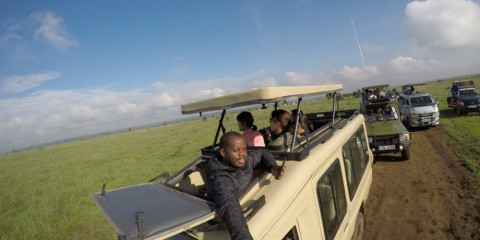 ½-Day Nairobi National Park - Giraffe Centre