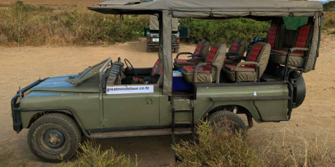 2-Day Zanzibar to Mikumi Bush Expedition Non Stop
