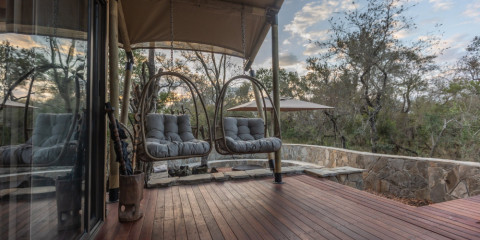 6-Day Luxury Manyeleti and Balule Safari