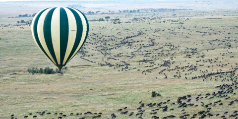 10-Day Best of Kenya and Tanzania Migration Safari