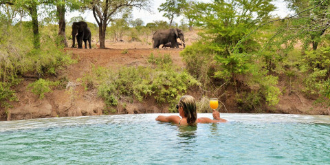 4-Day Imbali Lodge Safari