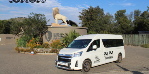 1-Day Zula Joburg Lion & Culture Tour