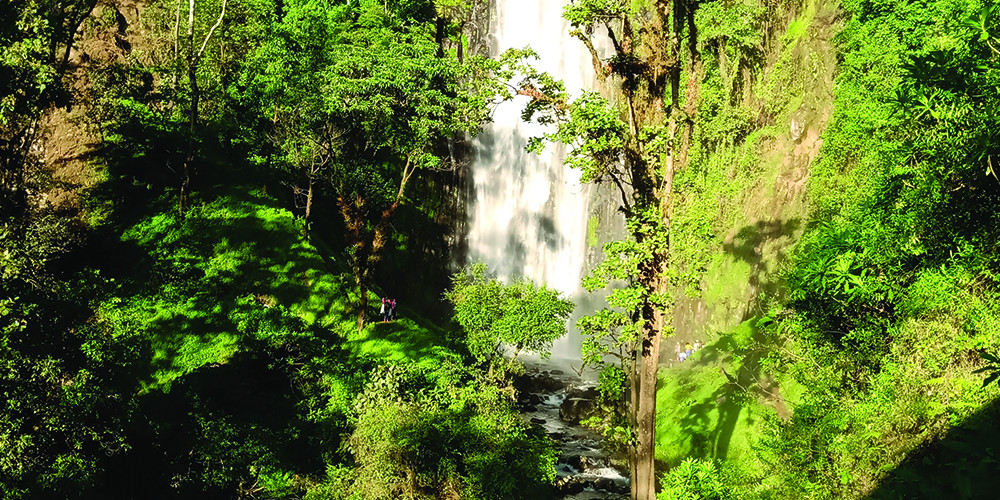 Materuni Waterfall, Coffee Tour and Hot Lunch