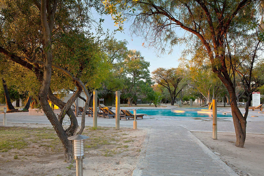 Budget Etosha National Park Safari