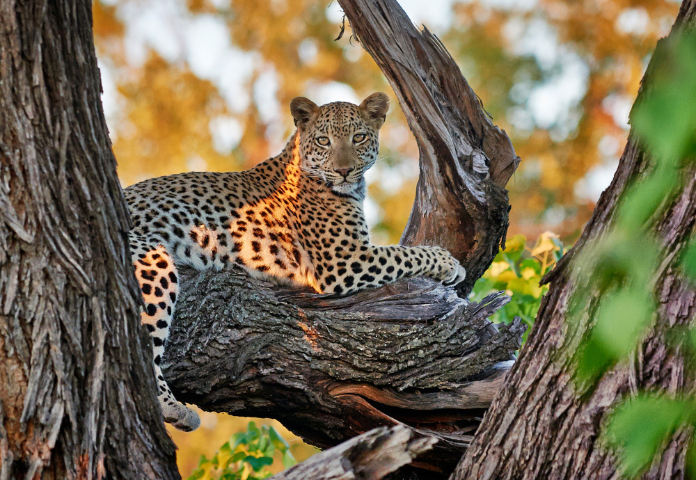 Namibia Popular Highlights Self-Drive Safari