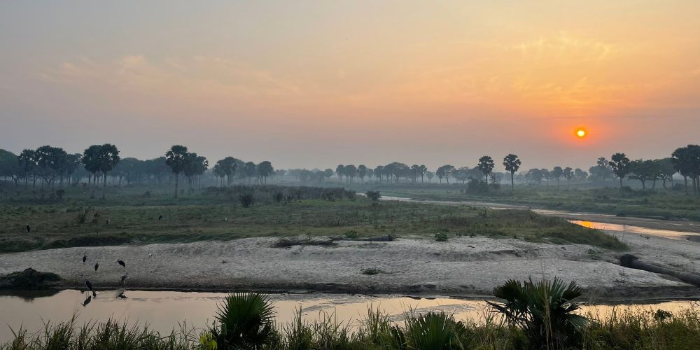 Walking Safari in Murchison Falls, Uganda