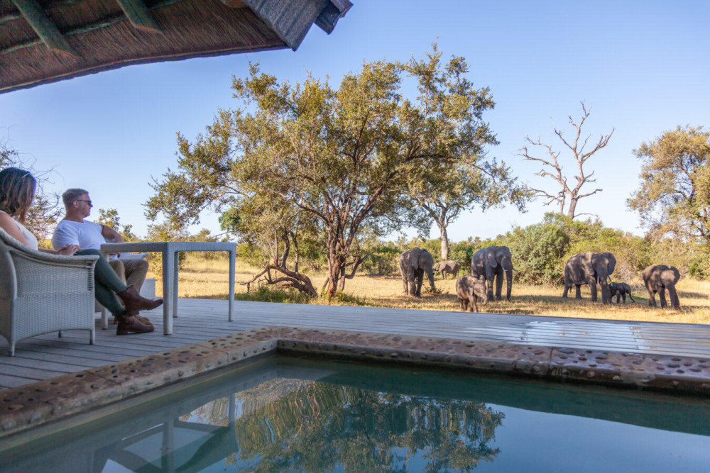 Luxury Sabi Sands Promotion