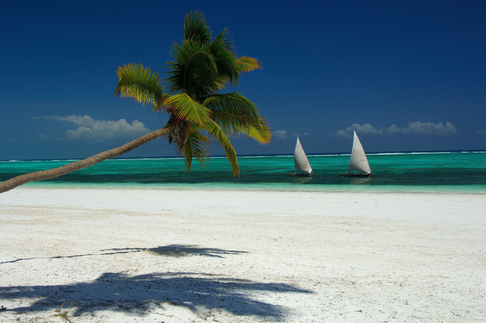 Tanzania Safari and Zanzibar Beach Extension