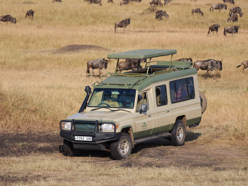 Camping Experience Safari