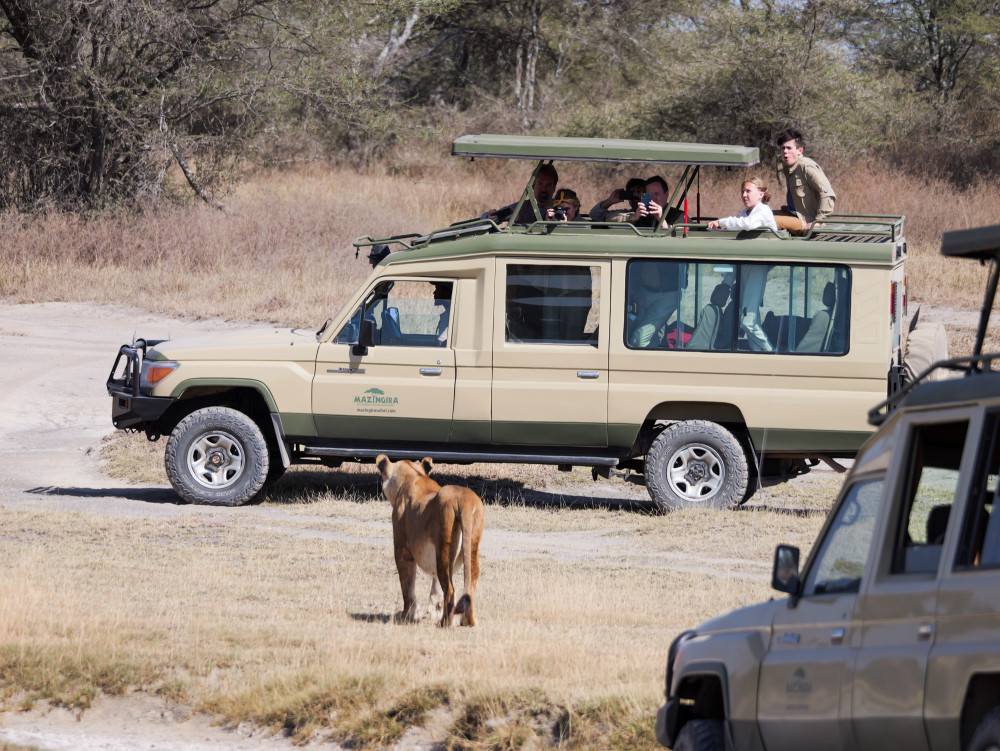 Serengeti "the Call of the Savannah"Budget Tour