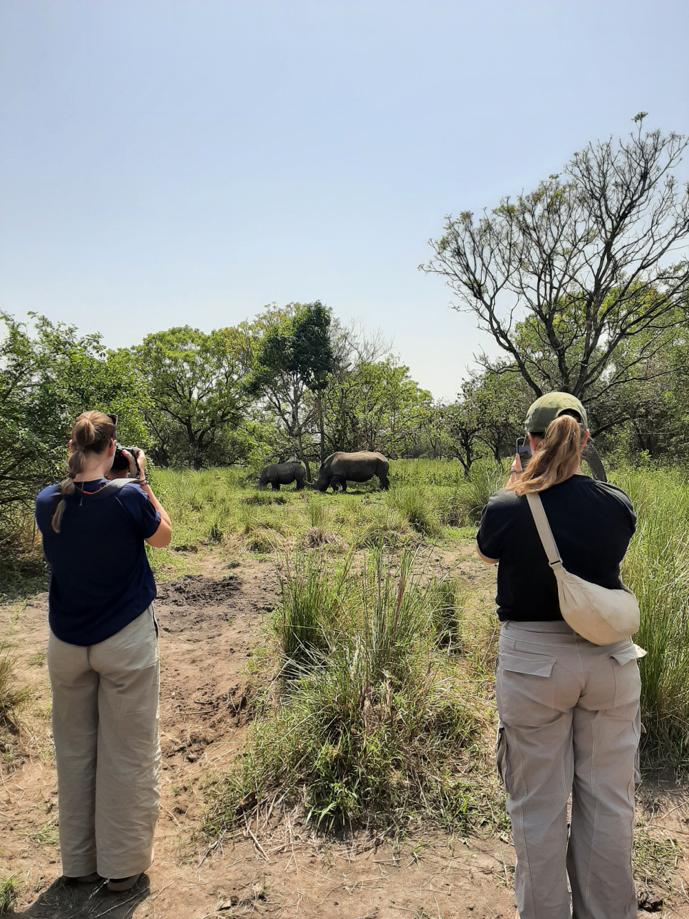 Budget Safari in Murchison & Ziwa Rhino Tracking