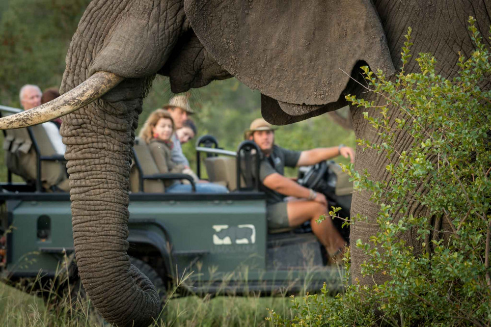 Kruger Park Safari and Private Luxury Lodge Combo