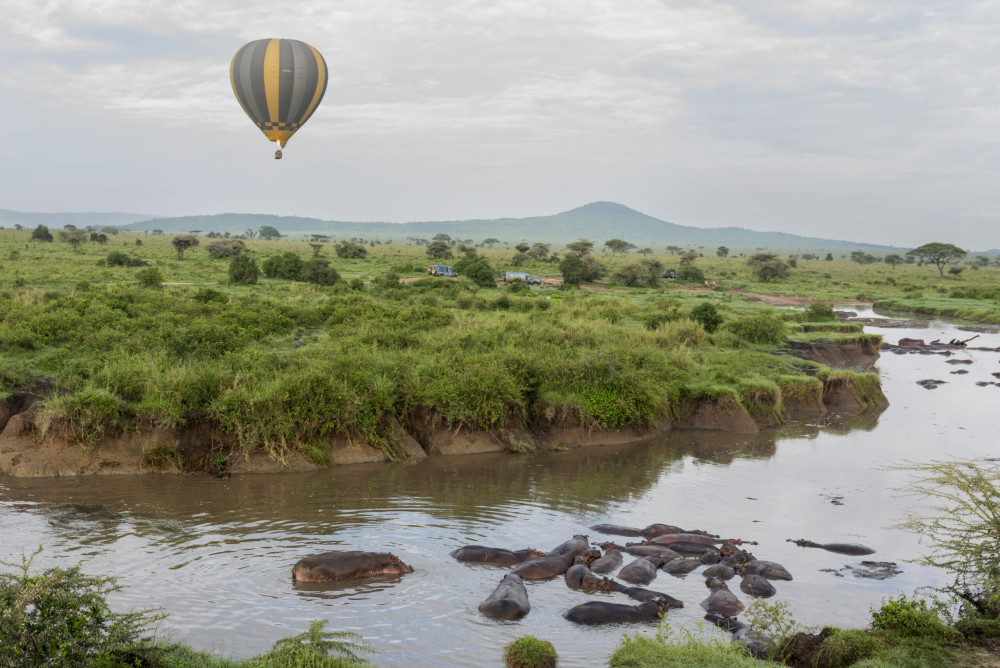 Big Five Fly in Drive out Luxury Safari