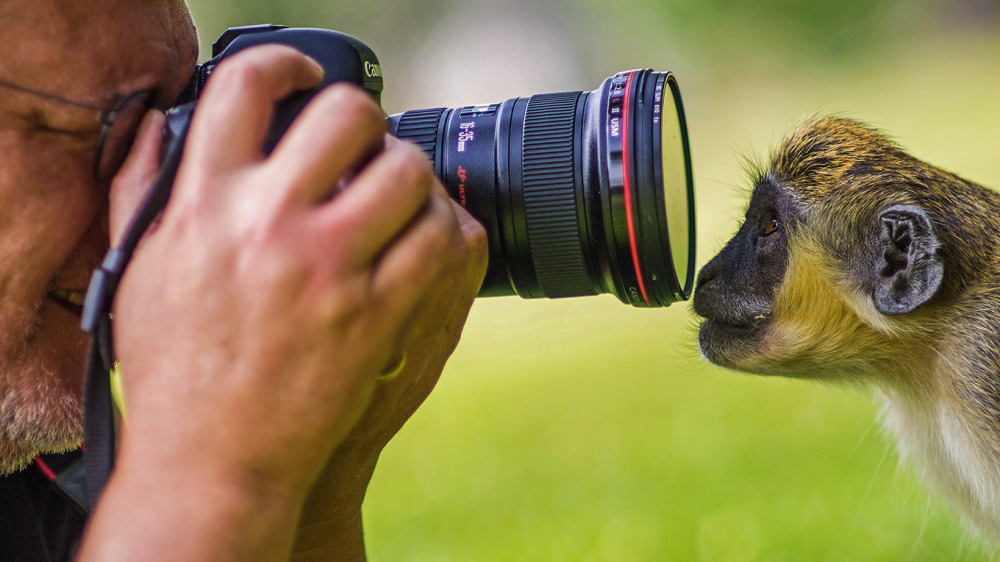 Fly-out Big Cats Comfort Safari Expedition