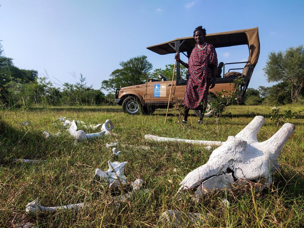 Tarangire & Lake Manyara Tented Safari