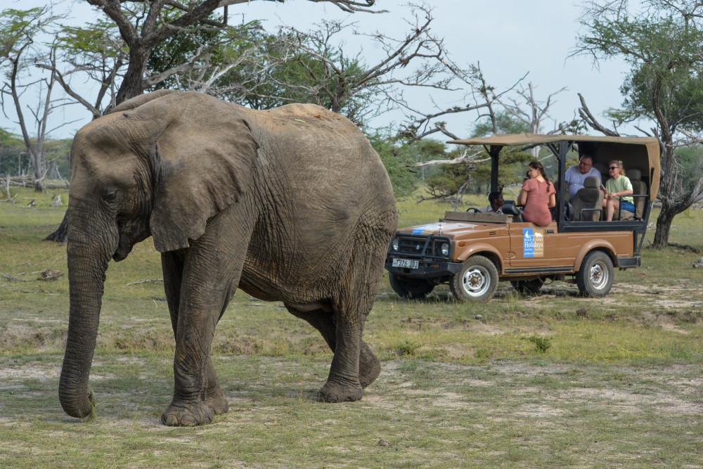 Private Safari Selous Game Reserve