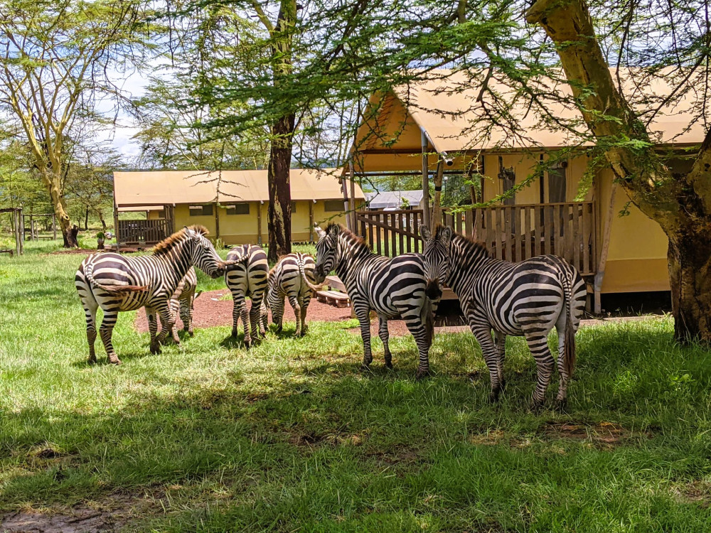Northern Parks Glamping Safari