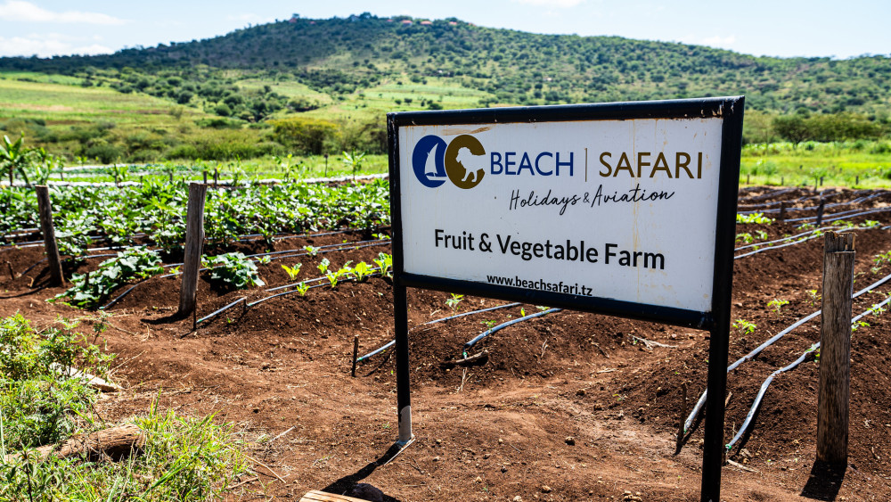 Untamed Beauty of the Serengeti Glamping