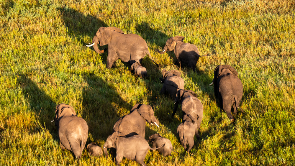 Tarangire, Manyara, Serengeti & Ngorongoro