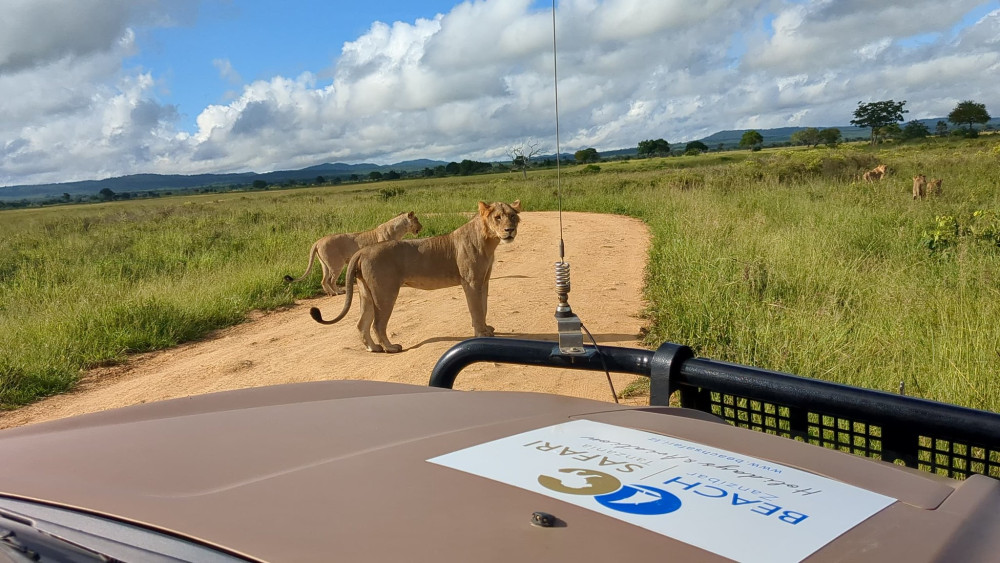 The Ultimate Serengeti Glamping Experience