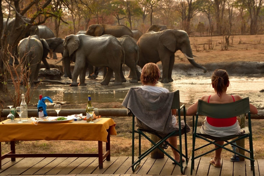 Luxury Chobe Mopani Forest Lodge Safari