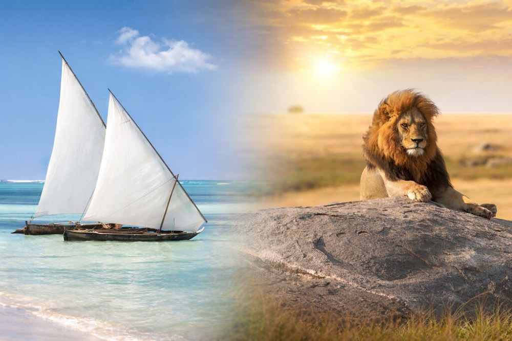 Beach & Safari Zanzibar and Lake Manyara Glamping