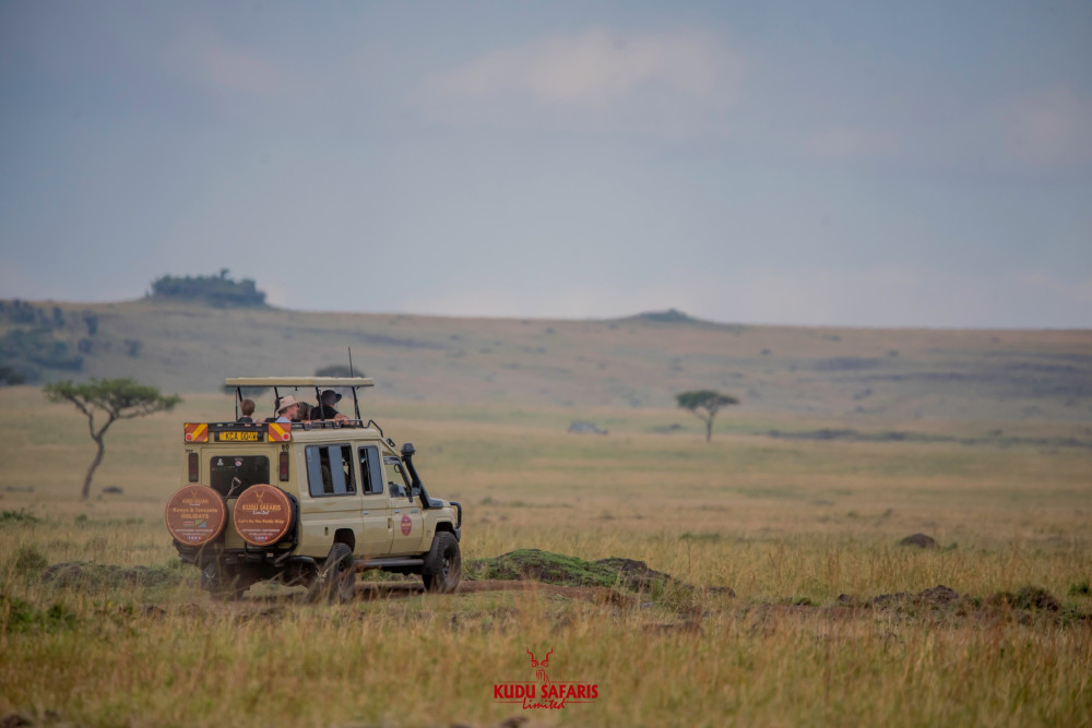 Masai Mara Safari by Road- Jambo Mara Safari Lodge