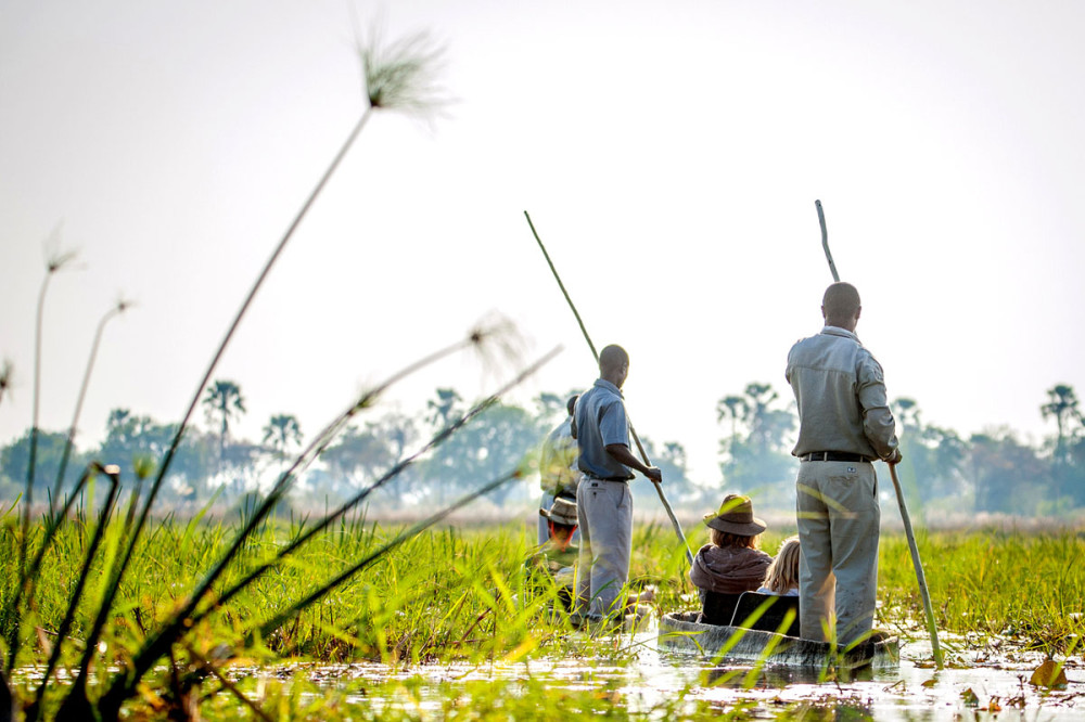 Okavango Low-Key Fly-in Safari at Oddballs