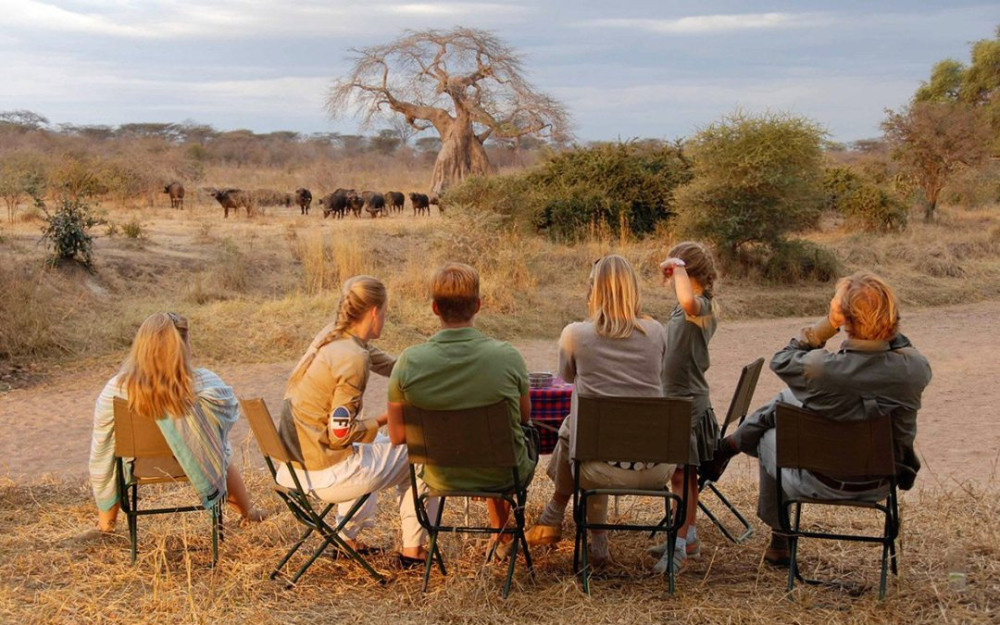 Serengeti National Park Private Experience
