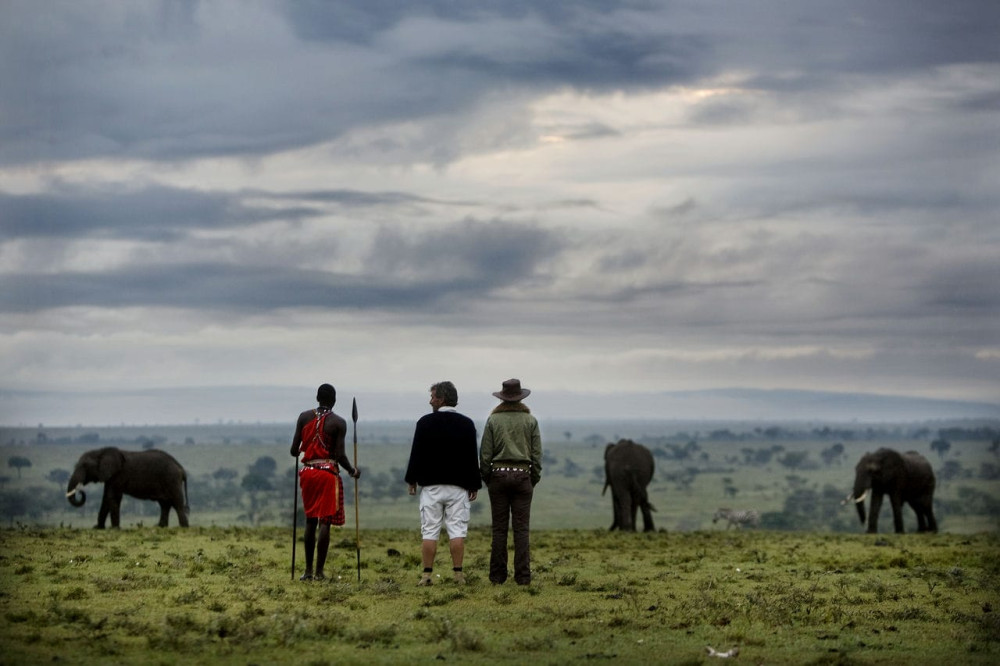 Experience the Wild Masai Mara Conservancy by Air