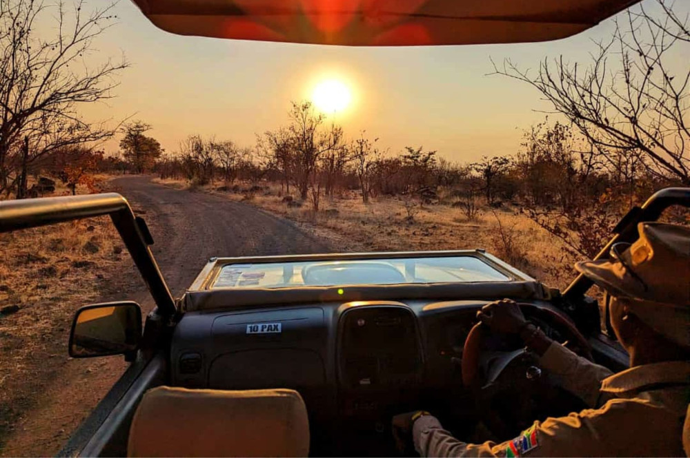 Safari Game Drive in National Park, 3 Hours